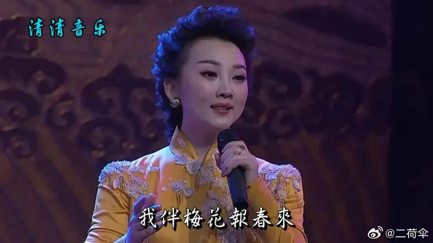 丁晓君,仍在舞台中央,绽放光芒,丁晓君,舞台中央的璀璨光芒