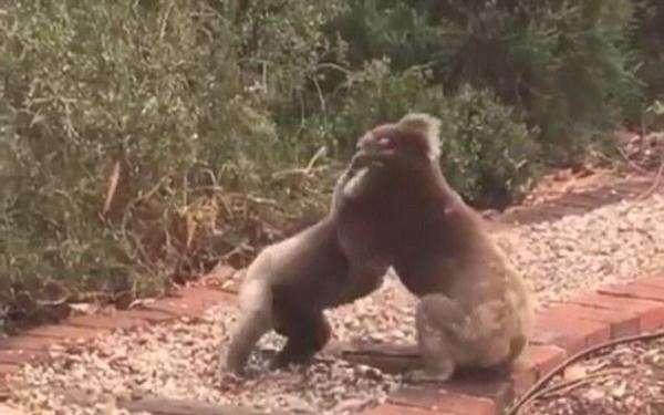 雄风3导弹命中率,技术突破与实战考验,雄风3导弹的命中率、技术突破及实战考验探究