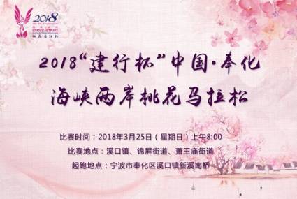 海峡两岸,共融共生,共创未来——2018年3月25日的独特记忆,海峡两岸共创未来,共融共生之独特记忆,纪念2018年3月25日