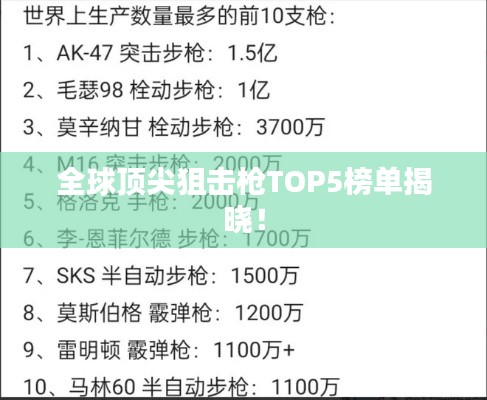 步枪排行榜前十名，深度解析当今最受欢迎的步枪型号，步枪排行榜前十名深度解析，当今最受欢迎的步枪型号综述