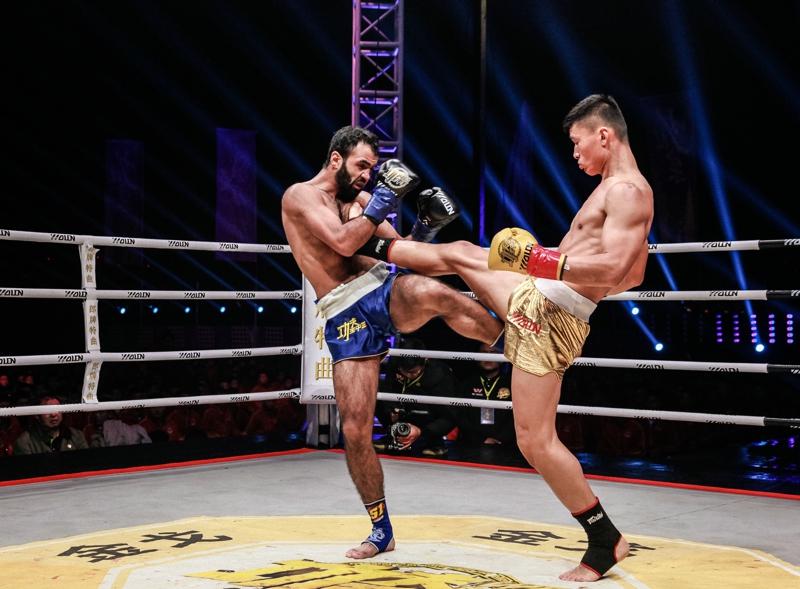 王中王四肖期期准一2019ww,预测的魅力与精准度探索,探索预测魅力与精准度,王中王四肖预测2019年展望