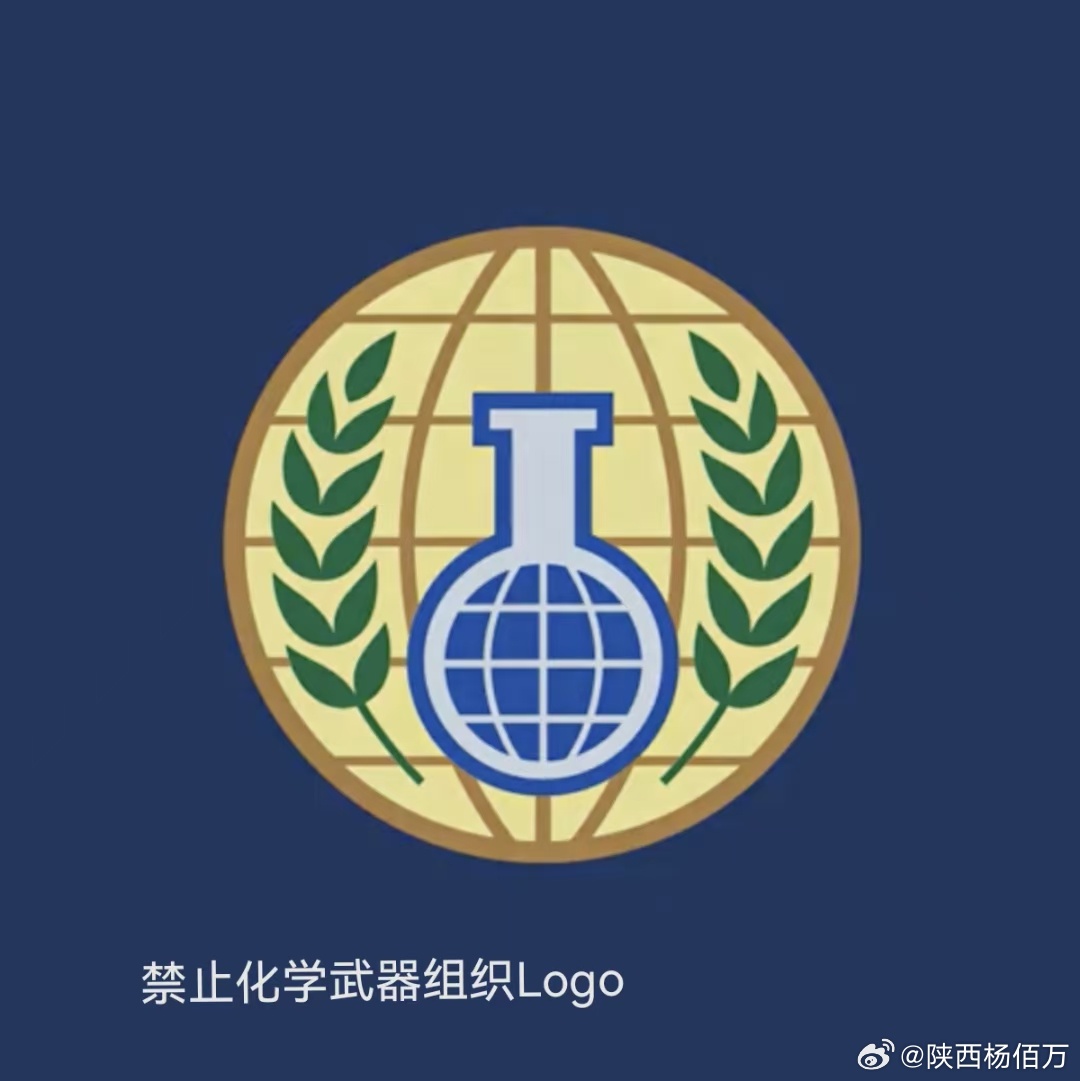 禁止化学武器组织缔约国的责任与担当,禁止化学武器组织缔约国的责任与担当,全球安全的共同守护