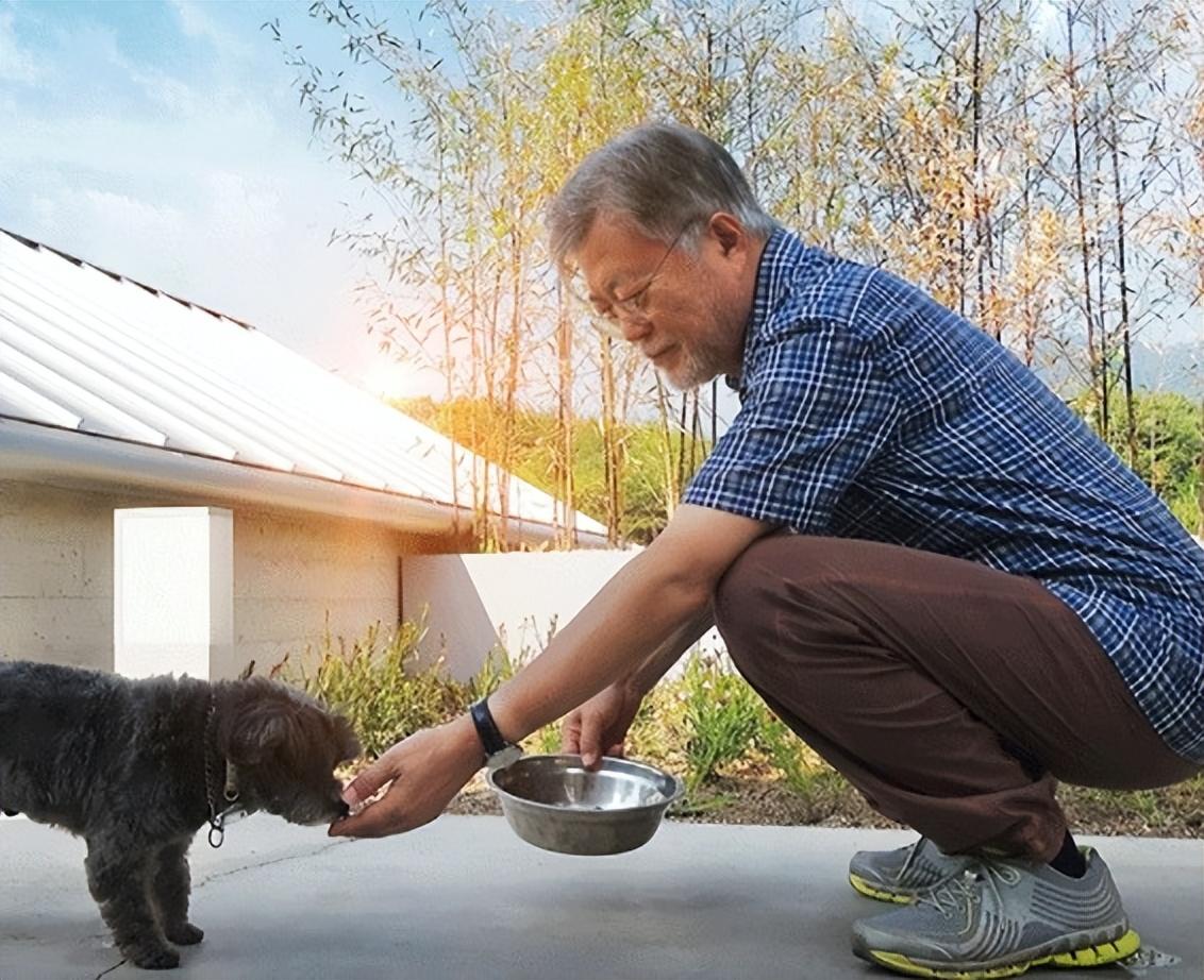 为什么中国人喜欢文在寅,中国人对文在寅的偏好解析