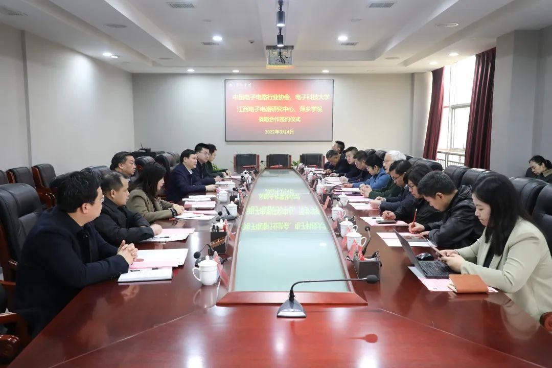 国际战略研究协会,引领全球战略分析与研究的先锋力量,国际战略研究协会,全球战略分析与研究的先锋引领者