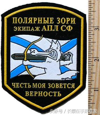 中国人民解放军海军臂章,荣耀与责任的象征,中国人民解放军海军臂章,荣耀与责任的独特标志