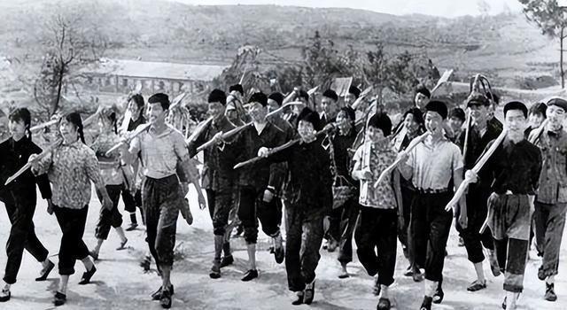 台湾军统部门的现代演变与角色定位,台湾军统部门的现代演变与角色定位探究