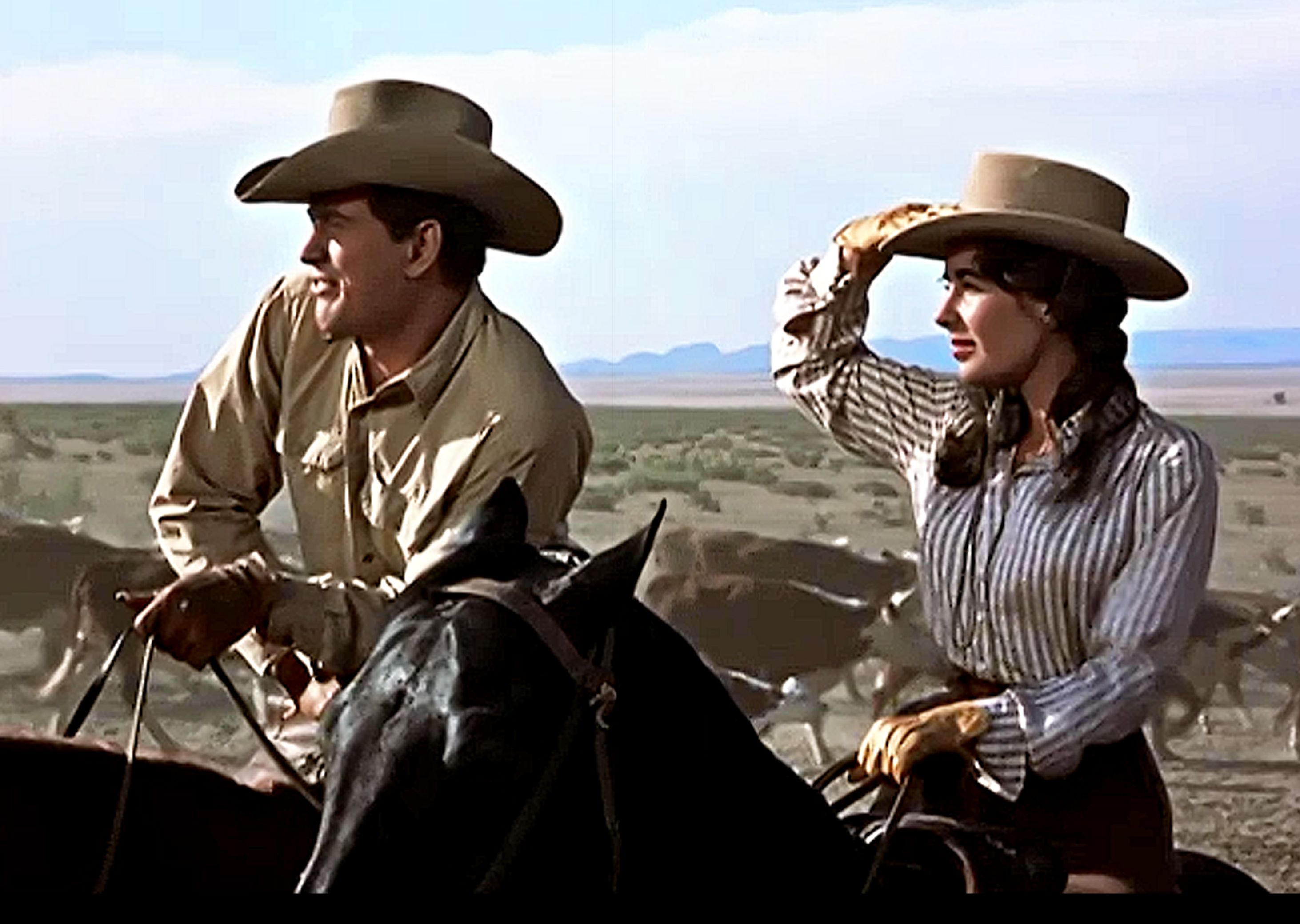 美国西部农场女人电影,坚韧与力量的展现,美国西部农场女人电影,展现坚韧与力量的女性传奇