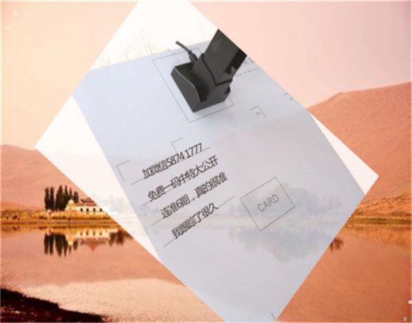 王中王特猜一肖，揭秘背后的神秘与趣味，揭秘王中王特猜一肖背后的神秘与魅力所在