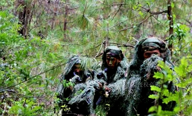 陆军70集团军,新时代的钢铁长城,陆军70集团军,新时代的钢铁长城守护者