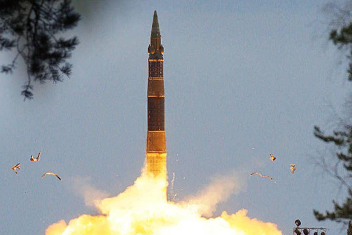 白杨M型,探索其独特魅力与广泛应用,白杨M型,独特魅力与广泛应用探索