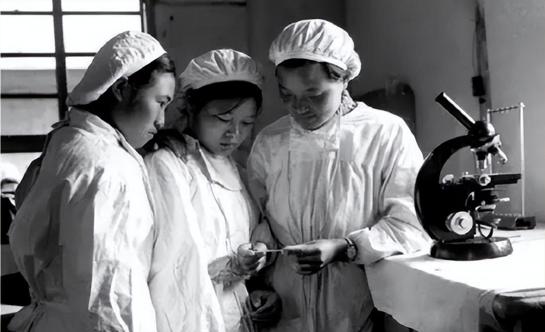 南京寻找女性的故事与魅力,南京女性的故事与魅力探寻之旅