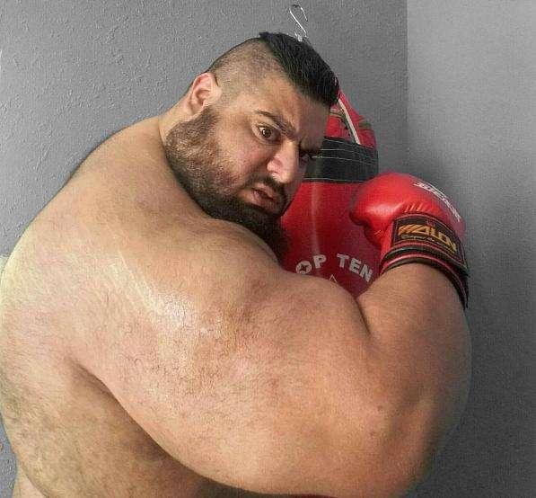 哑铃弯举标准动作详解,塑造坚实上臂肌群,哑铃弯举详解,打造坚实上臂肌群的力量训练之道