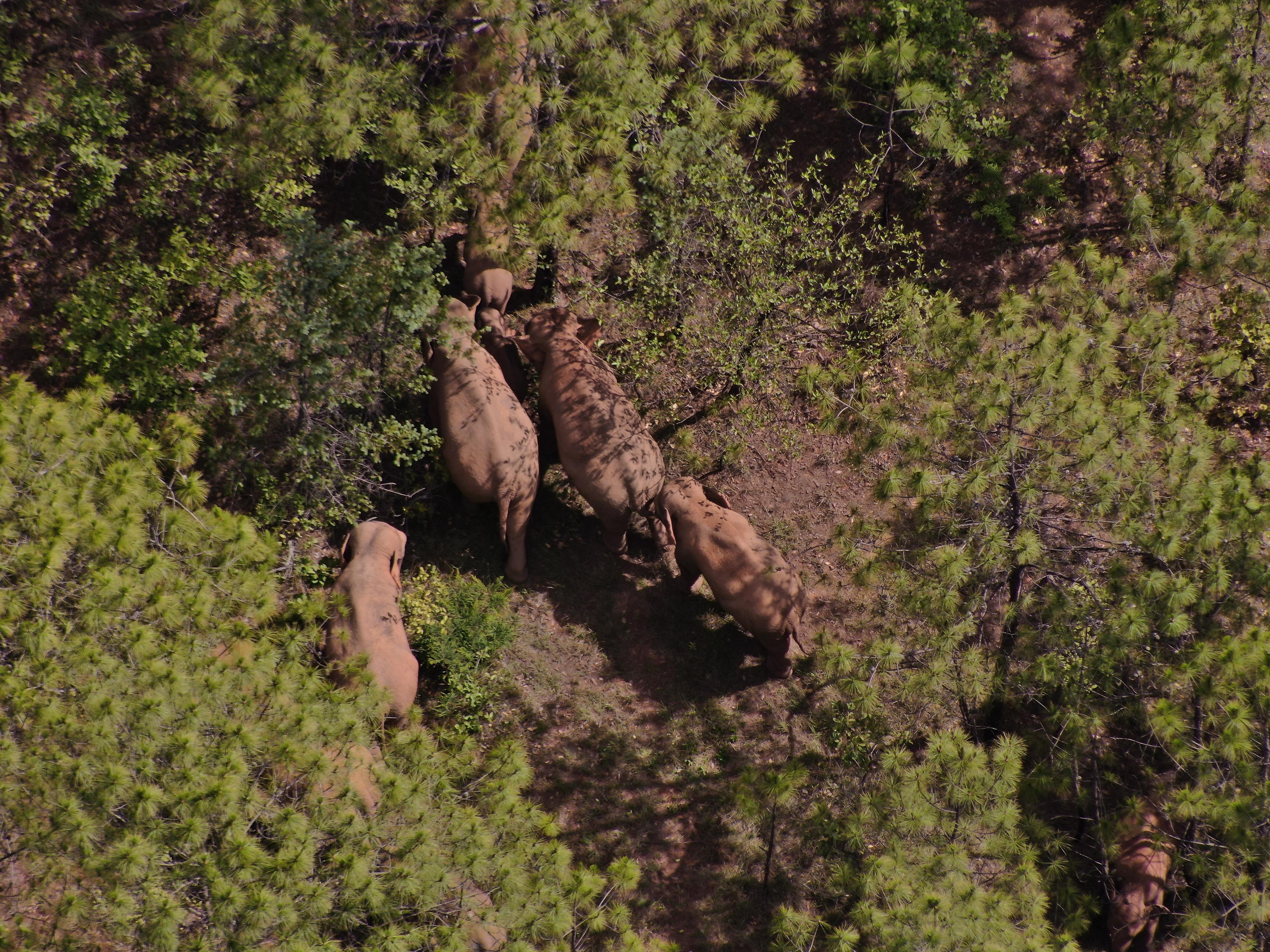 青春期，探索自我与世界的交织之路，青春期，探索自我与世界的交融之旅
