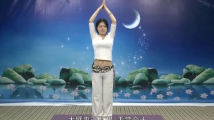 瑜伽初学者的探索之旅,从视频起步的瑜伽学习之路,瑜伽初学者的探索之旅,视频引领瑜伽学习之路