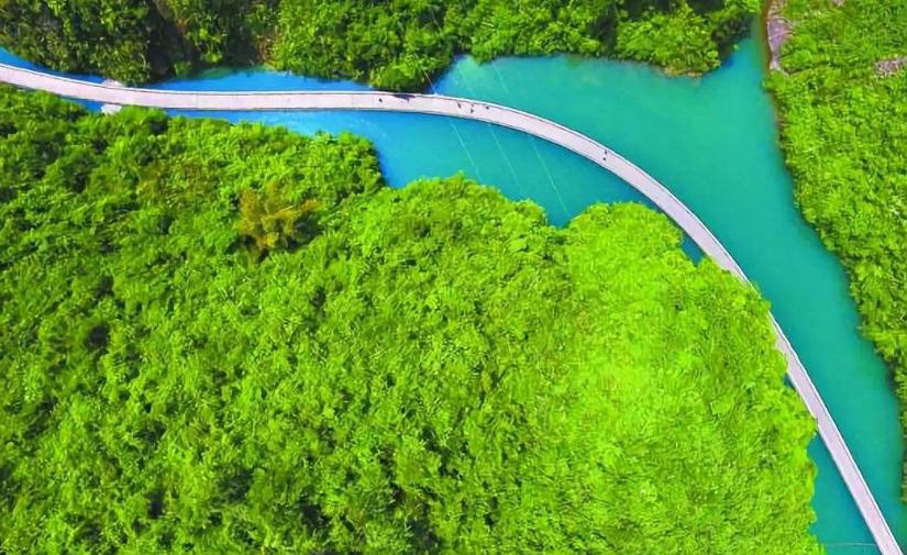 深圳哪里有好玩的景点,探索这座城市的魅力之旅,探索深圳,城市魅力之旅的必游景点推荐