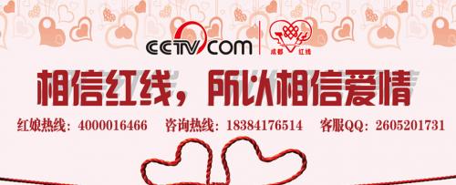 红娘网婚恋,连接心灵的桥梁,构建幸福的起点,红娘网婚恋,心灵桥梁,幸福起点