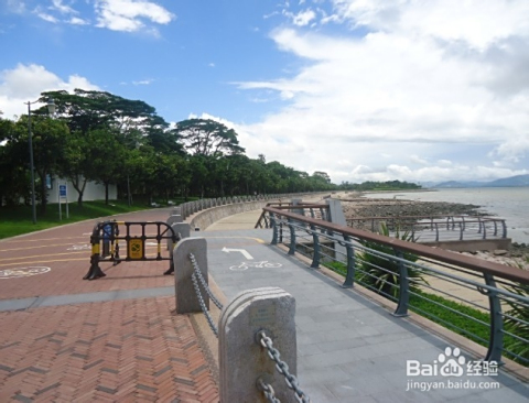 深圳红树林一日游攻略，深圳红树林一日游精彩攻略