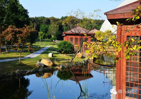 上海近郊农家乐，体验乡村生活的美好时光，上海近郊农家乐，体验乡村生活的魅力时光