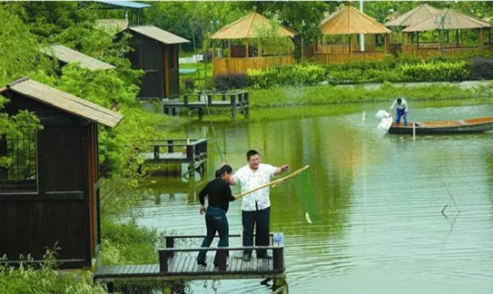 上海近郊农家乐,体验乡村生活的美好时光,上海近郊农家乐,体验乡村生活的魅力时光