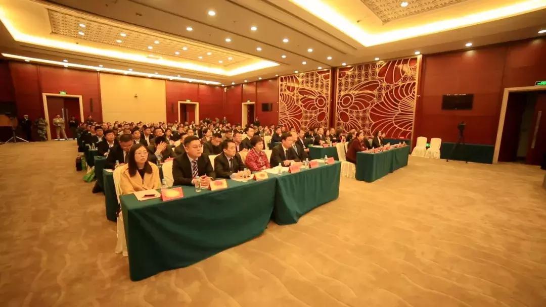 青岛国旅国际旅行社,探索卓越旅游服务的先锋,青岛国旅国际旅行社,卓越旅游服务的先锋探索者