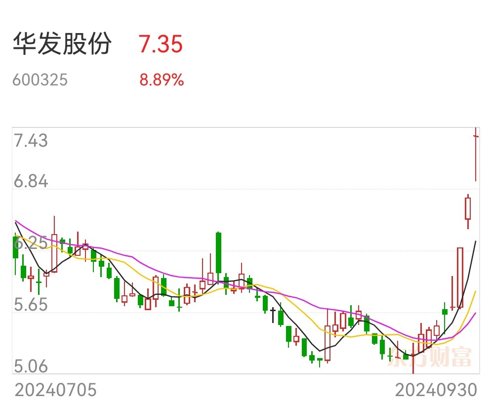 华发股份最新消息,深度解析与前景展望,华发股份最新动态解析及前景展望