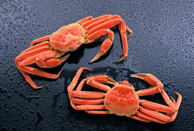 吃完螃蟹千万别碰五种食物——海鲜美食后的健康须知，海鲜美食后的禁忌，吃完螃蟹五种食物不能碰——健康须知