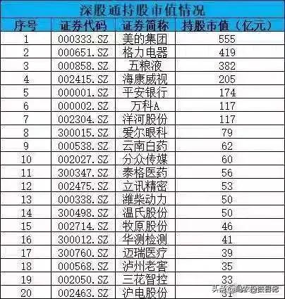 沪股通股票名单一览表，深度解读与全面分析，沪股通股票名单一览表，深度解读与全面剖析