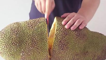 菠萝菠萝蜜，免费观看视频的新天地，菠萝菠萝蜜，免费视频观看的全新平台