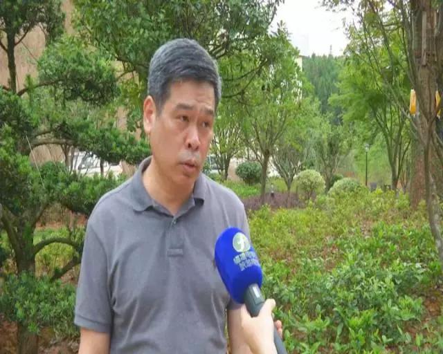 福州旅行社，探索榕城的最佳旅行伙伴，福州旅行社，榕城探索的最佳旅行伴侣