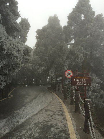 衡山天气，探索自然之美与气象之魅力，衡山天气，自然之美与气象魅力的探索