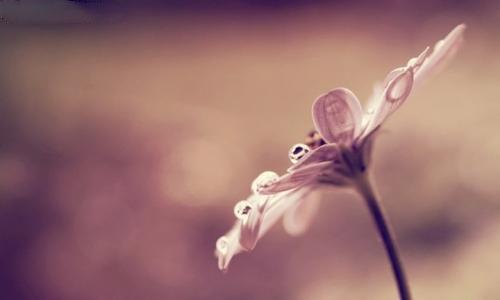 慢慢来,生活的艺术,生活的艺术,悠然前行之道