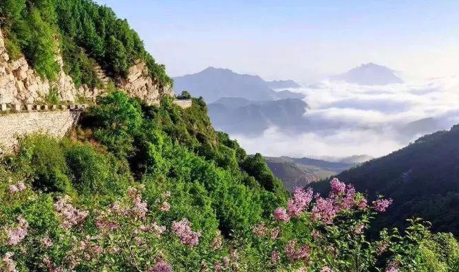 秦皇岛野生动物园门票详解,购买、价格、优惠及注意事项,秦皇岛野生动物园门票购买指南,价格、优惠及注意事项