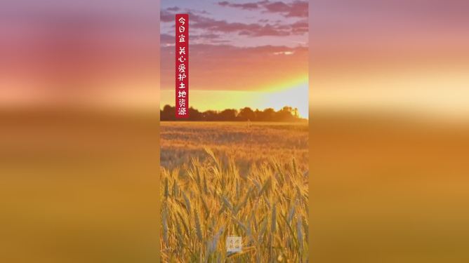 大地资源高清播放，在线观看的新视界，大地资源高清播放，新视界在线观看体验