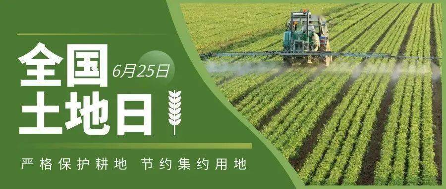 大地资源高清播放,在线观看的新视界,大地资源高清播放,新视界在线观看体验