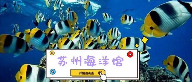苏州海洋馆门票,探索神秘海洋世界的通行证,苏州海洋馆门票,探索神秘海洋世界的邀请函