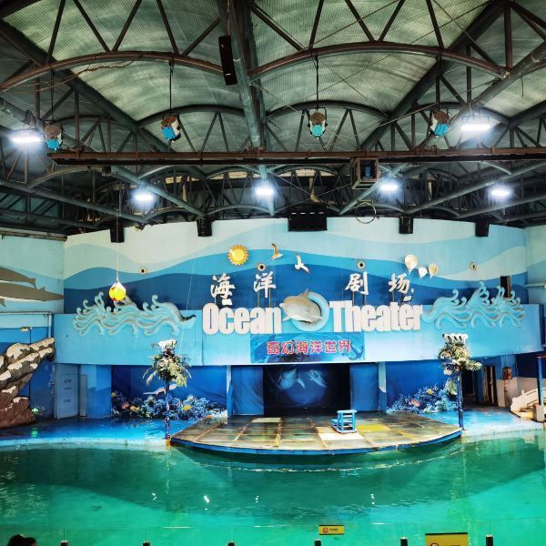 苏州海洋馆门票,探索神秘海洋世界的通行证,苏州海洋馆门票,探索神秘海洋世界的邀请函