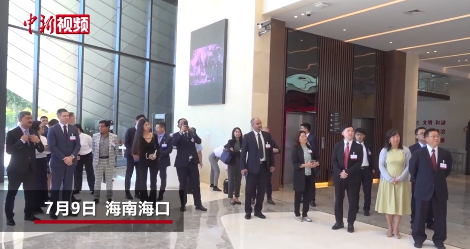 南海网与海南新闻网，海南信息传播的双重力量，南海网与海南新闻网，海南信息传播的双翼力量