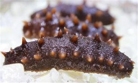 海参，神奇的海底宝藏——功效与作用解析，海参，海底宝藏的神奇功效与作用解析