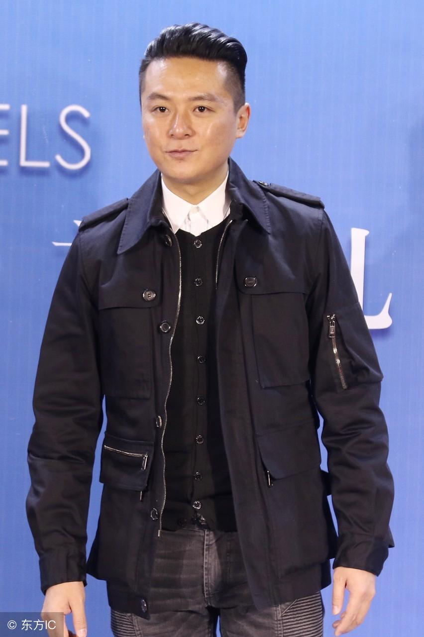 陈道明主演的电视剧大全，经典角色的魅力展现，陈道明主演电视剧大全，经典角色魅力一览