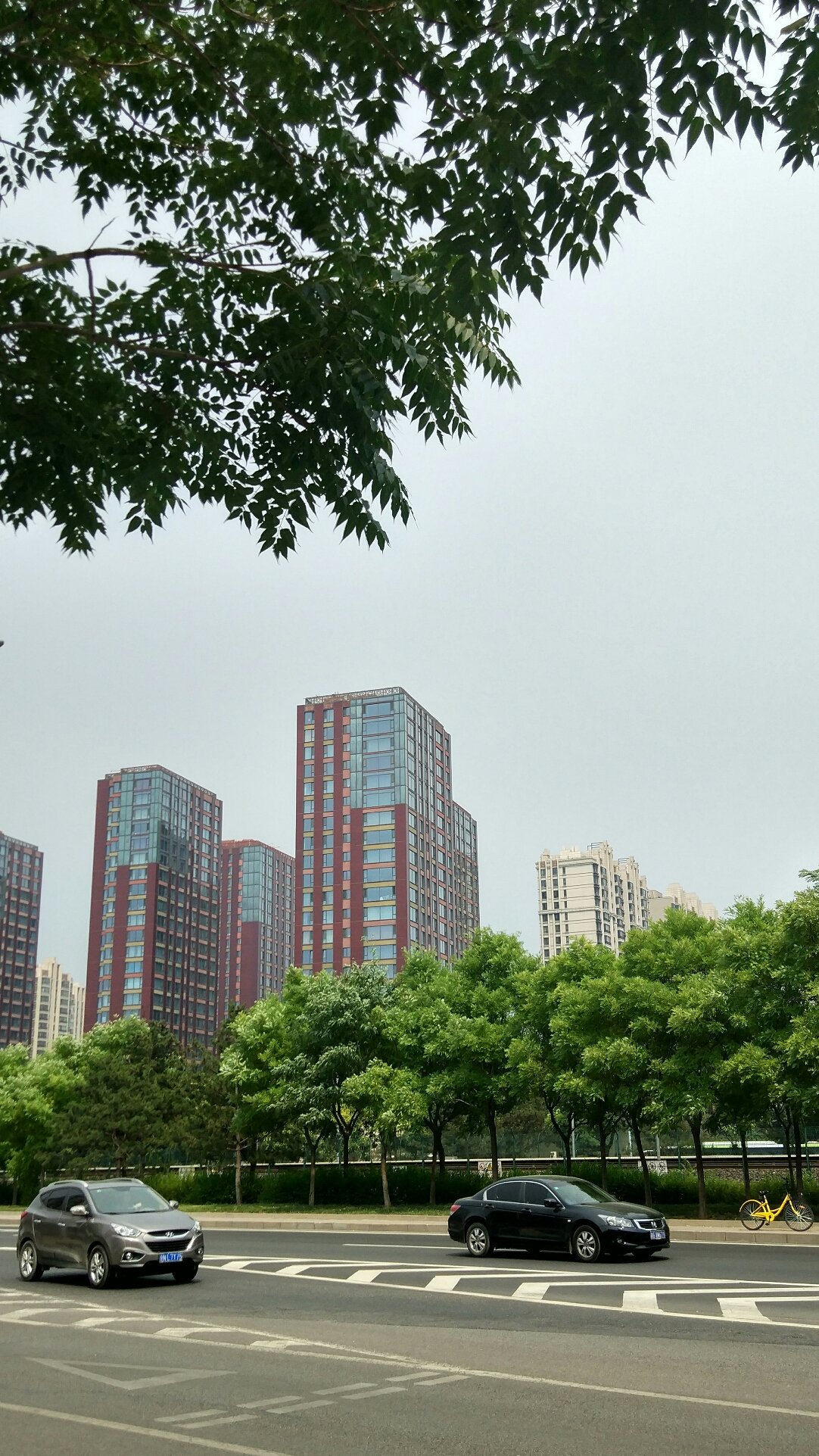 北京朝阳区天气预报,北京朝阳区今日天气预报