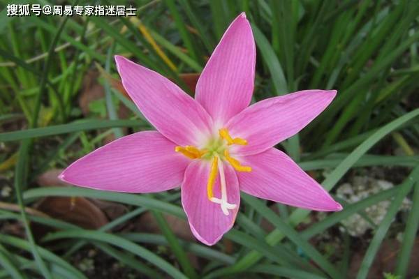 免费八字测婚姻段数——探寻您的婚姻运势,免费八字测婚姻段数,揭秘你的婚姻运势走向