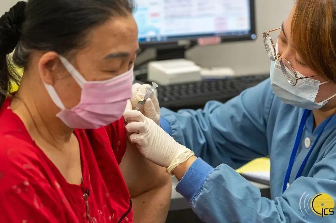 新澳门彩票中的数字奥秘，探索必中五个数字的秘诀，探索新澳门彩票数字奥秘，揭秘必中五个数字的秘诀