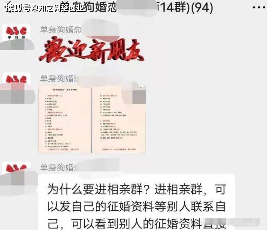 寻找宁波本地相亲群,搭建情感交流的桥梁,宁波相亲群,搭建情感交流的桥梁