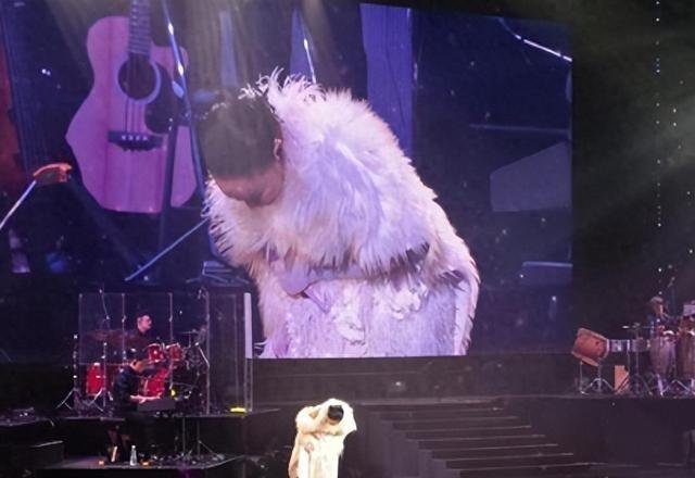 探索澳门正版精准资料的深度价值，澳门正版精准资料的深度探索与价值揭秘