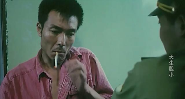 谢园最后一部电视剧，永恒的荧屏印记，谢园最后一部电视剧，永恒的荧屏记忆