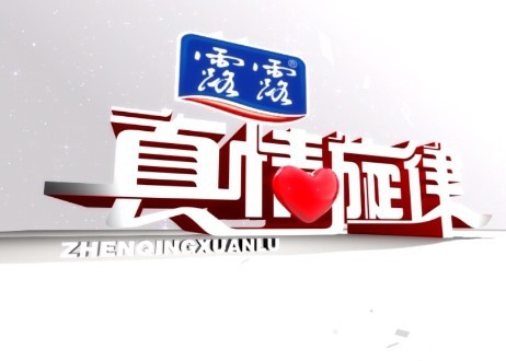 真情在线节目，连接心灵的情感纽带，真情在线，心灵情感纽带，连接真挚情感