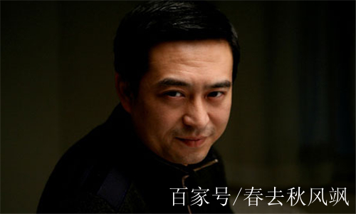 张嘉译，电视剧的魅力之星，哪部主演之作最好看？，张嘉译，电视剧魅力之星，哪部主演之作最亮眼？