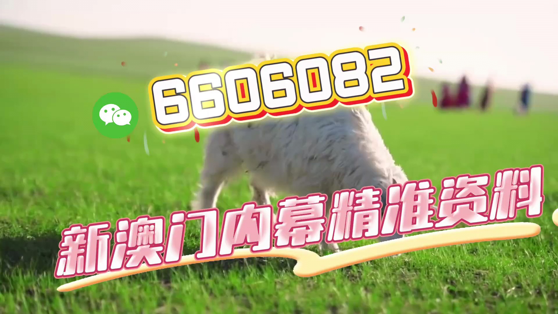 一肖一码一一特,探寻背后的神秘与魅力,一肖一码一一特,背后的神秘魅力探寻