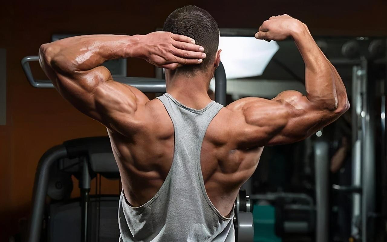 健身练腰,9个动作助你塑造完美腰线(附图片),健身秘籍,9个动作助你塑造迷人腰线,附详细图片教程