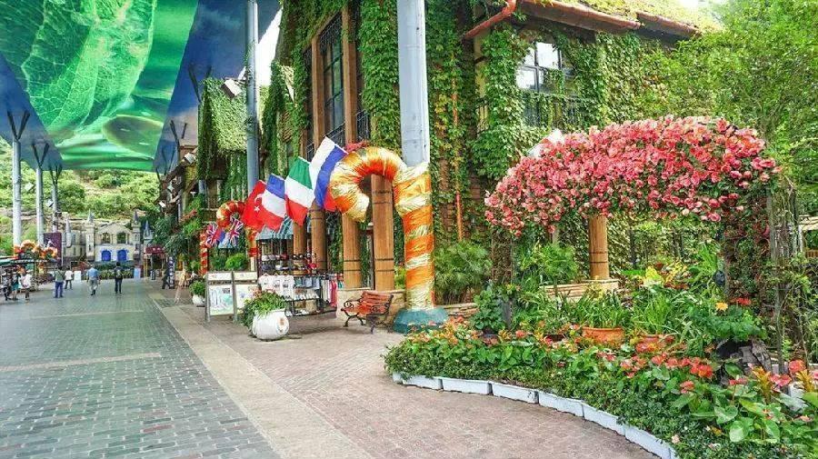 东部华侨城景点,深度探索与体验,东部华侨城深度游,景点探索与体验